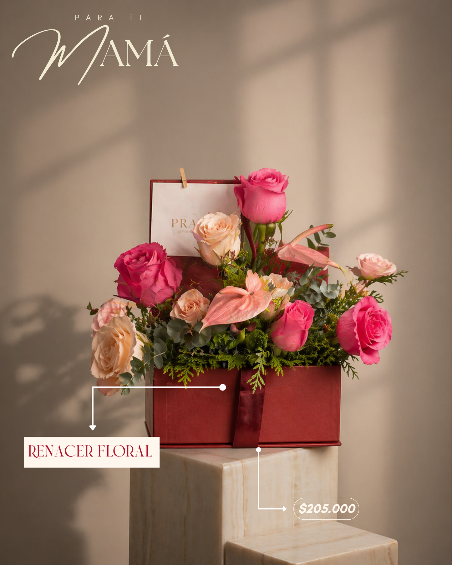 Renacer floral