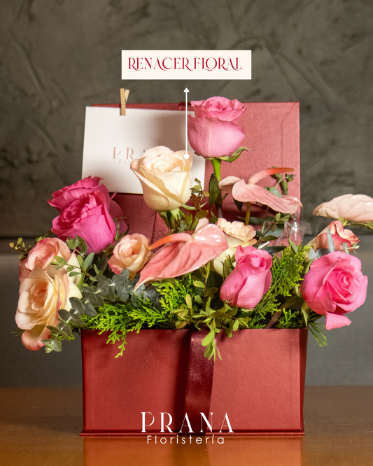 Renacer Floral