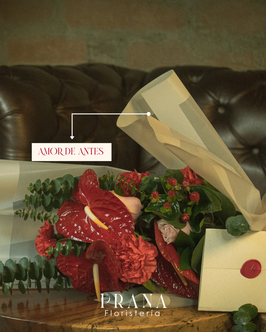 Amor de antes